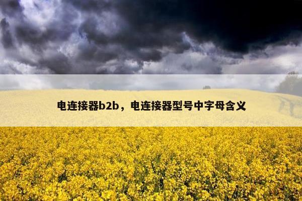 电连接器b2b，电连接器型号中字母含义