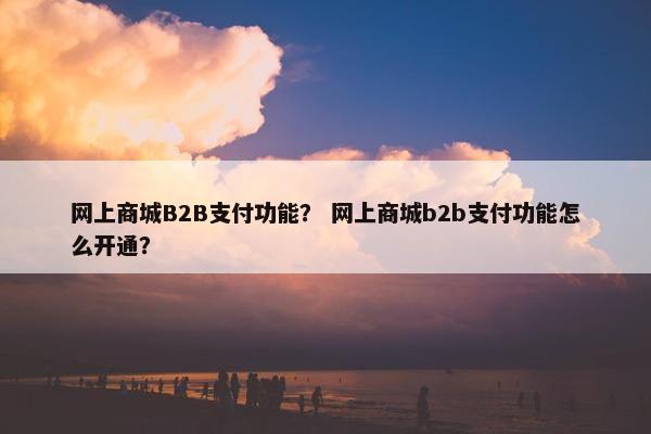 网上商城B2B支付功能？ 网上商城b2b支付功能怎么开通？