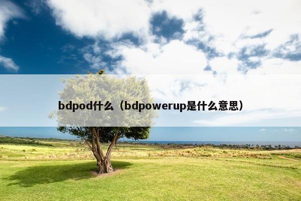 bdpod什么（bdpowerup是什么意思）