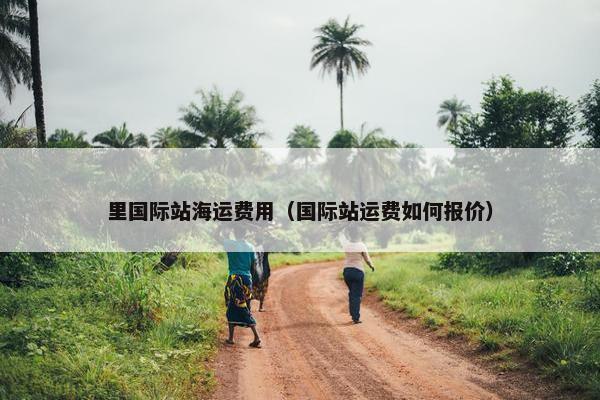 里国际站海运费用（国际站运费如何报价）