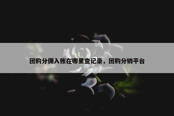 团购分佣入账在哪里查记录，团购分销平台