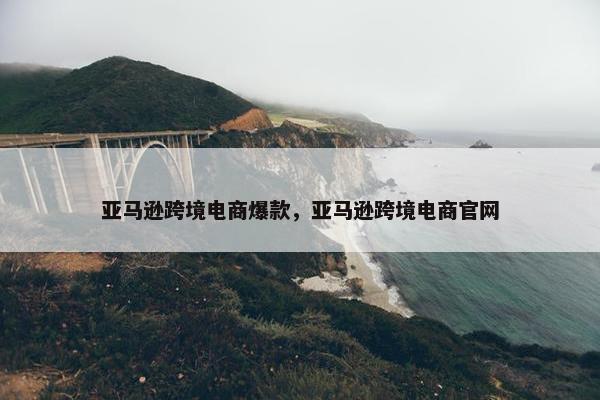 亚马逊跨境电商爆款，亚马逊跨境电商官网