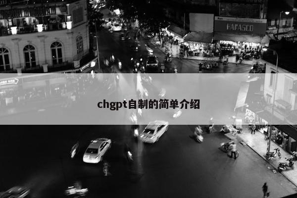 chgpt自制的简单介绍
