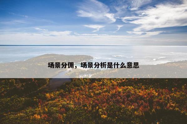 场景分佣，场景分析是什么意思
