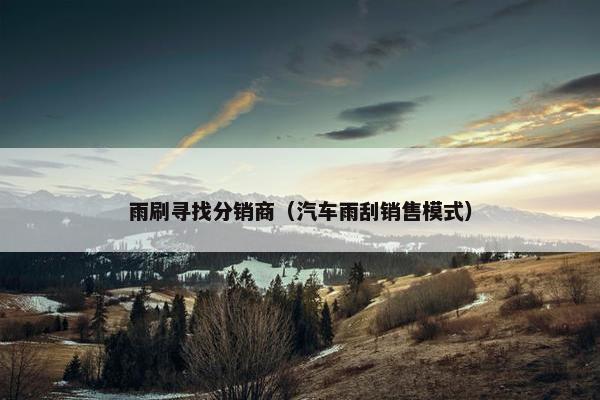 雨刷寻找分销商（汽车雨刮销售模式）