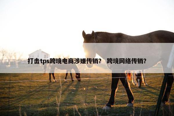 打击tps跨境电商涉嫌传销？ 跨境网络传销？