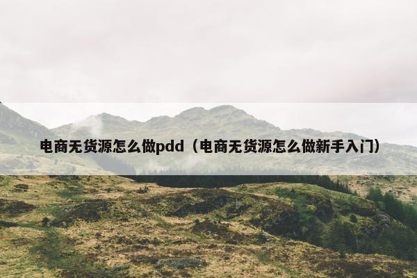 电商无货源怎么做pdd（电商无货源怎么做新手入门）