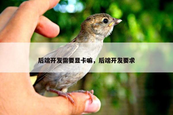 后端开发需要显卡嘛，后端开发要求