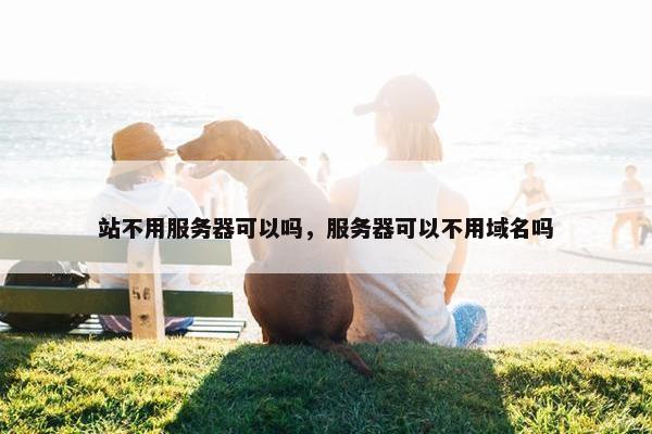 站不用服务器可以吗，服务器可以不用域名吗