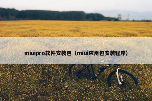 miuipro软件安装包（miui应用包安装程序）