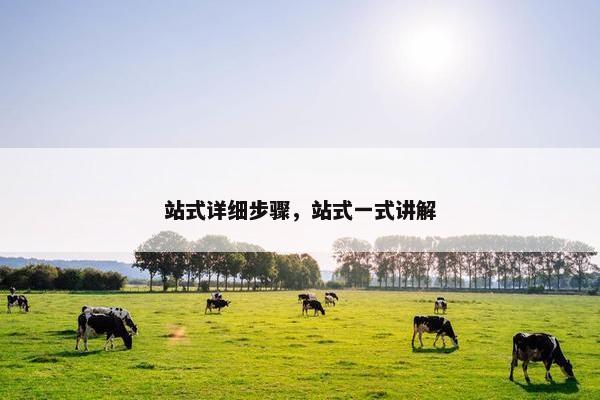 站式详细步骤，站式一式讲解