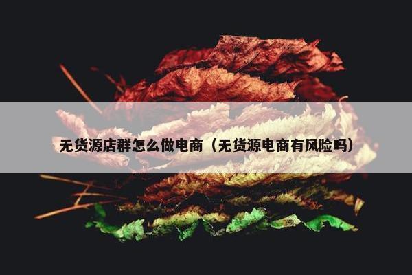 无货源店群怎么做电商（无货源电商有风险吗）
