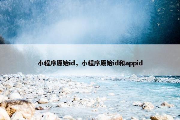 小程序原始id，小程序原始id和appid
