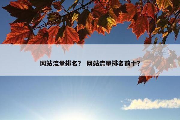 网站流量排名？ 网站流量排名前十？