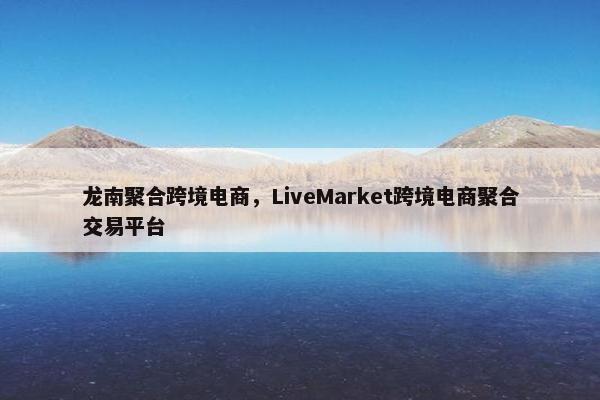 龙南聚合跨境电商，LiveMarket跨境电商聚合交易平台
