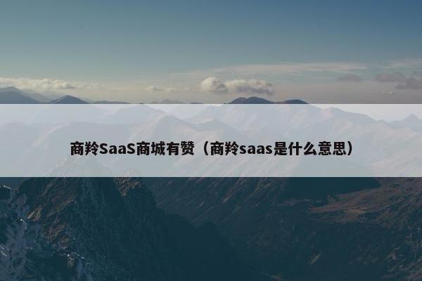 商羚SaaS商城有赞（商羚saas是什么意思）