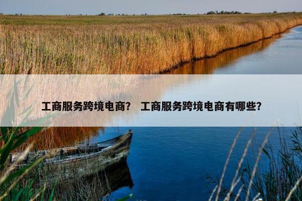 工商服务跨境电商？ 工商服务跨境电商有哪些？