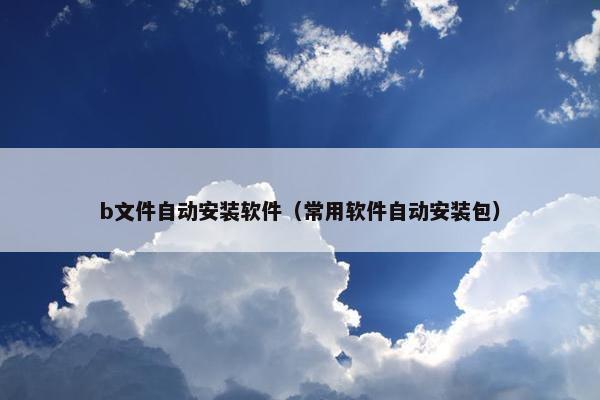 b文件自动安装软件（常用软件自动安装包）