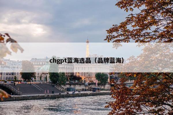 chgpt蓝海选品（品牌蓝海）
