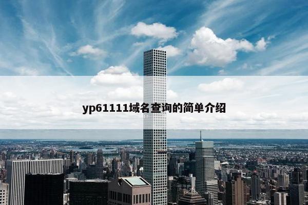 yp61111域名查询的简单介绍
