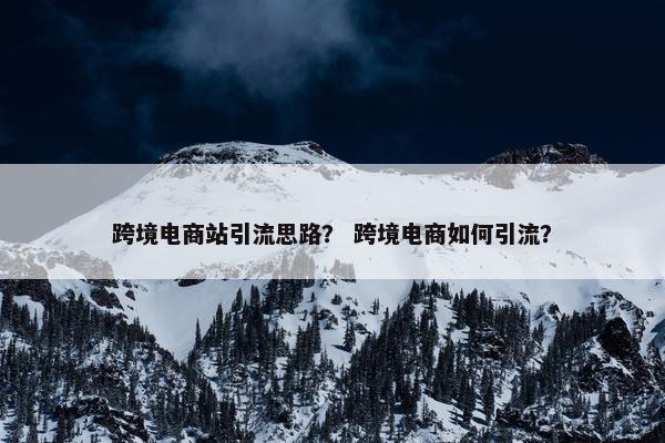跨境电商站引流思路？ 跨境电商如何引流？