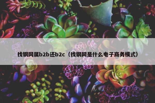 找钢网属b2b还b2c（找钢网是什么电子商务模式）