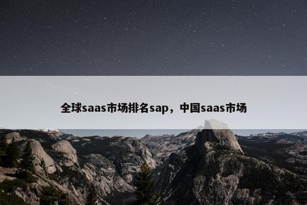 全球saas市场排名sap，中国saas市场