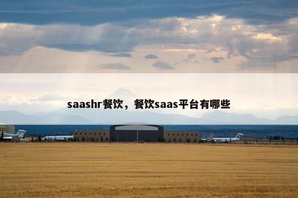 saashr餐饮，餐饮saas平台有哪些