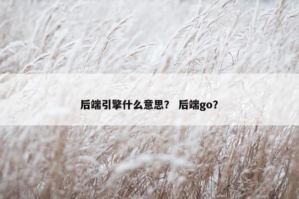 后端引擎什么意思？ 后端go？