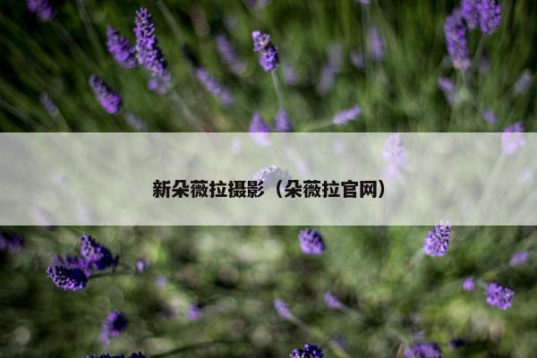 新朵薇拉摄影（朵薇拉官网）