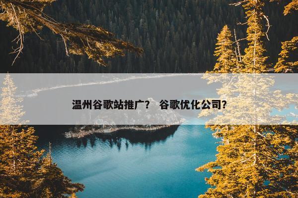 温州谷歌站推广？ 谷歌优化公司？