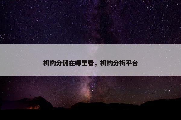 机构分佣在哪里看，机构分析平台