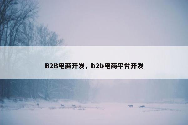 B2B电商开发，b2b电商平台开发