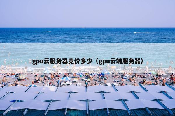 gpu云服务器竞价多少（gpu云端服务器）