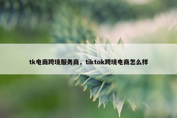 tk电商跨境服务商，tiktok跨境电商怎么样