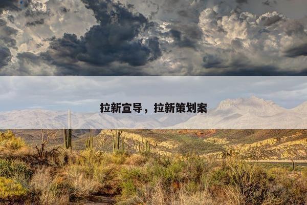 拉新宣导，拉新策划案