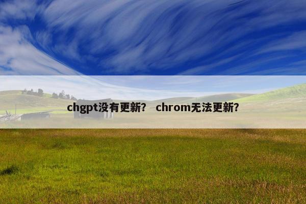 chgpt没有更新？ chrom无法更新？