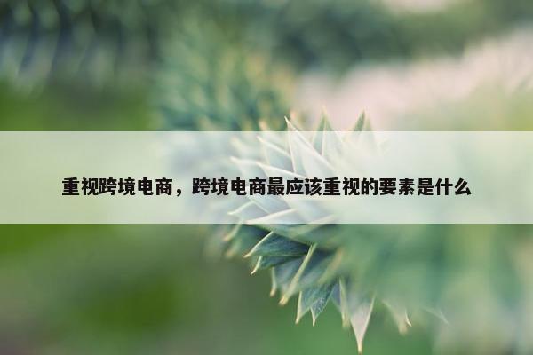 重视跨境电商，跨境电商最应该重视的要素是什么