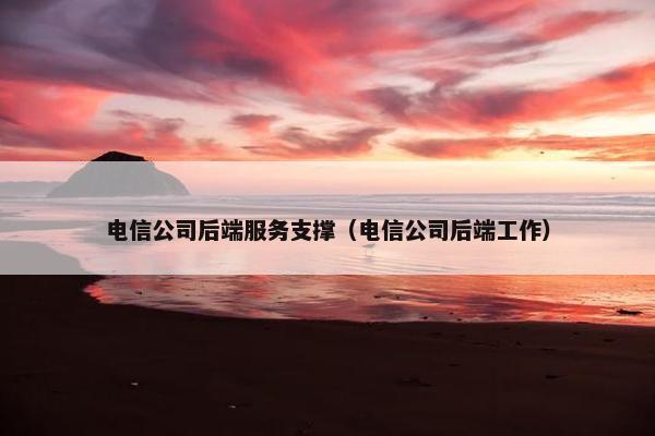 电信公司后端服务支撑（电信公司后端工作）