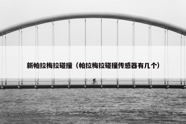 新帕拉梅拉碰撞（帕拉梅拉碰撞传感器有几个）