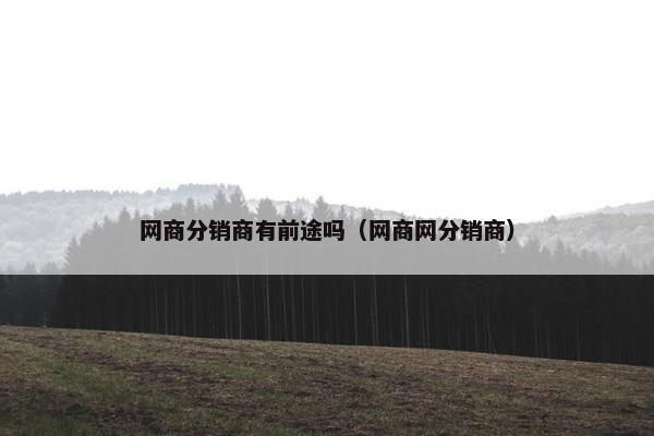 网商分销商有前途吗（网商网分销商）