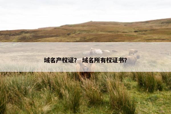 域名产权证？ 域名所有权证书？