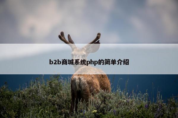 b2b商城系统php的简单介绍