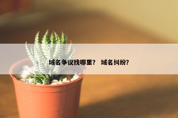 域名争议找哪里？ 域名纠纷？