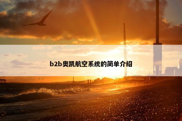 b2b奥凯航空系统的简单介绍