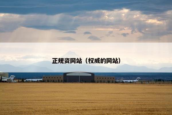 正规资网站（权威的网站）