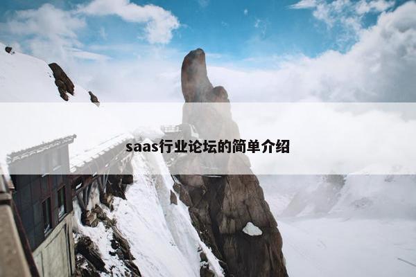 saas行业论坛的简单介绍