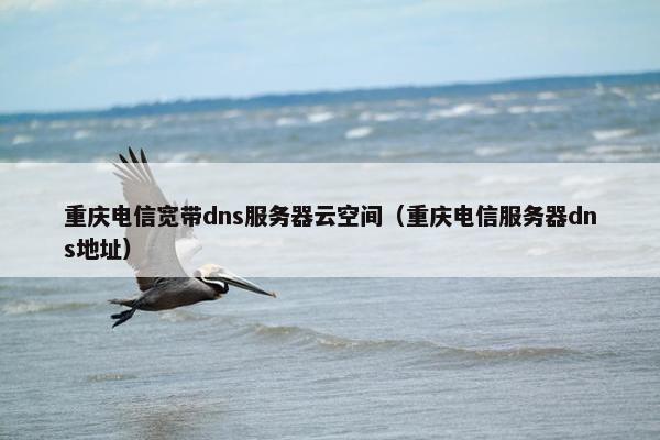 重庆电信宽带dns服务器云空间（重庆电信服务器dns地址）