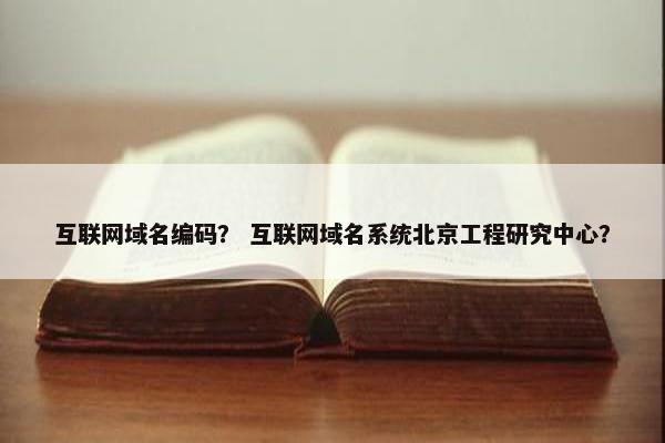 互联网域名编码？ 互联网域名系统北京工程研究中心？