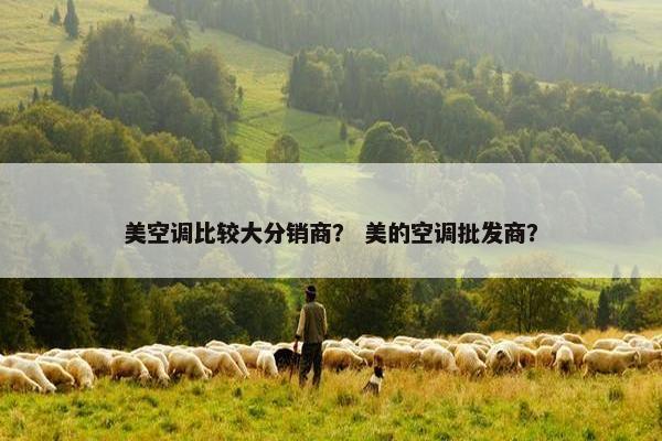 美空调比较大分销商？ 美的空调批发商？
